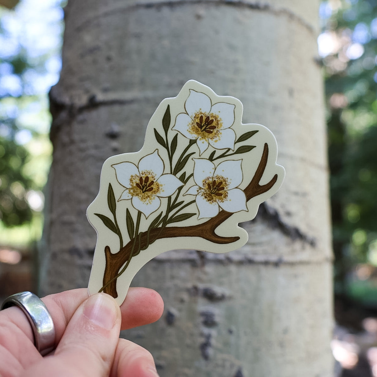 Antler & Sego Lily Sticker