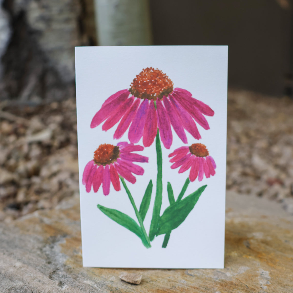 Coneflower Card