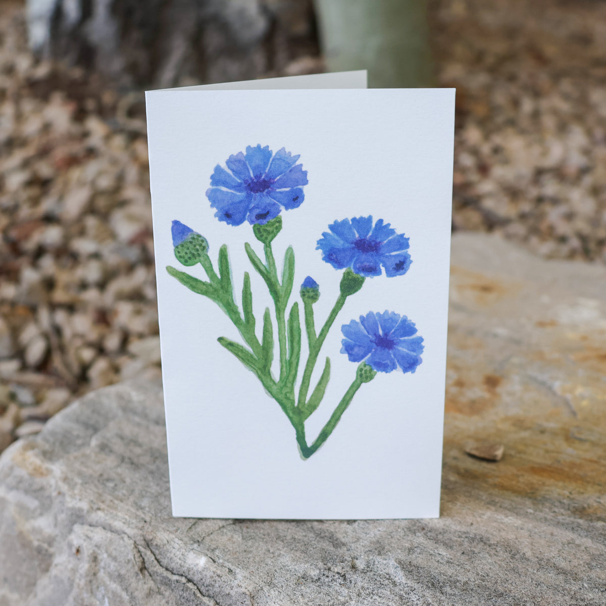 Cornflower Card