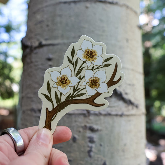 Antler & Sego Lily Sticker