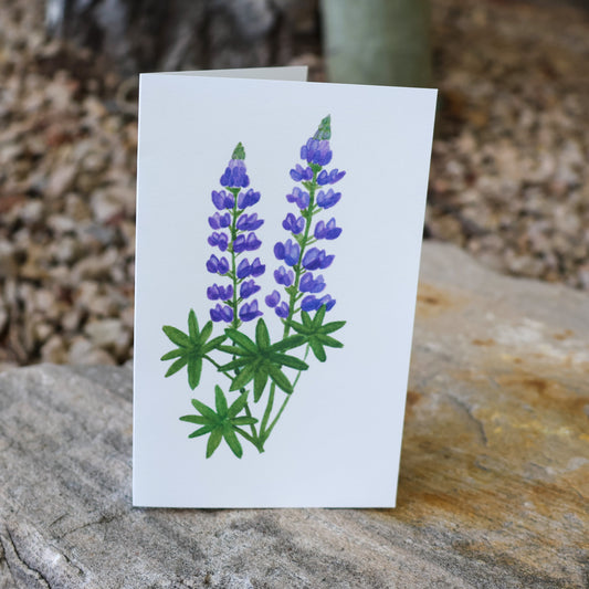 Lupine Card