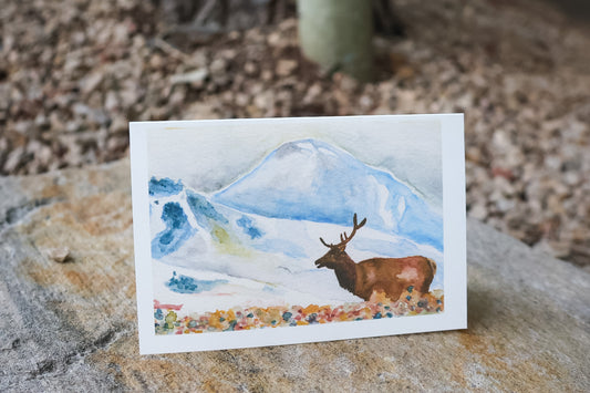 Wildlife Card