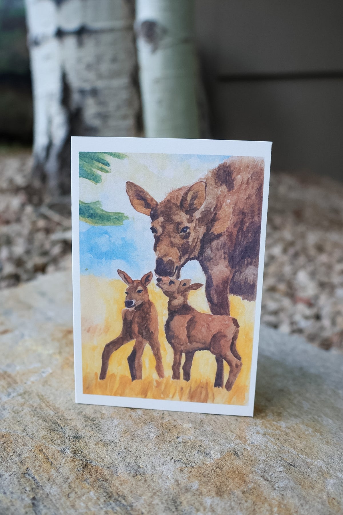 Wildlife Card