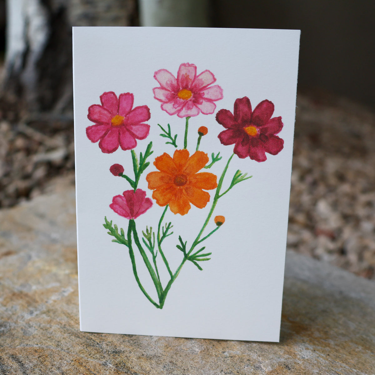 Cosmos Card