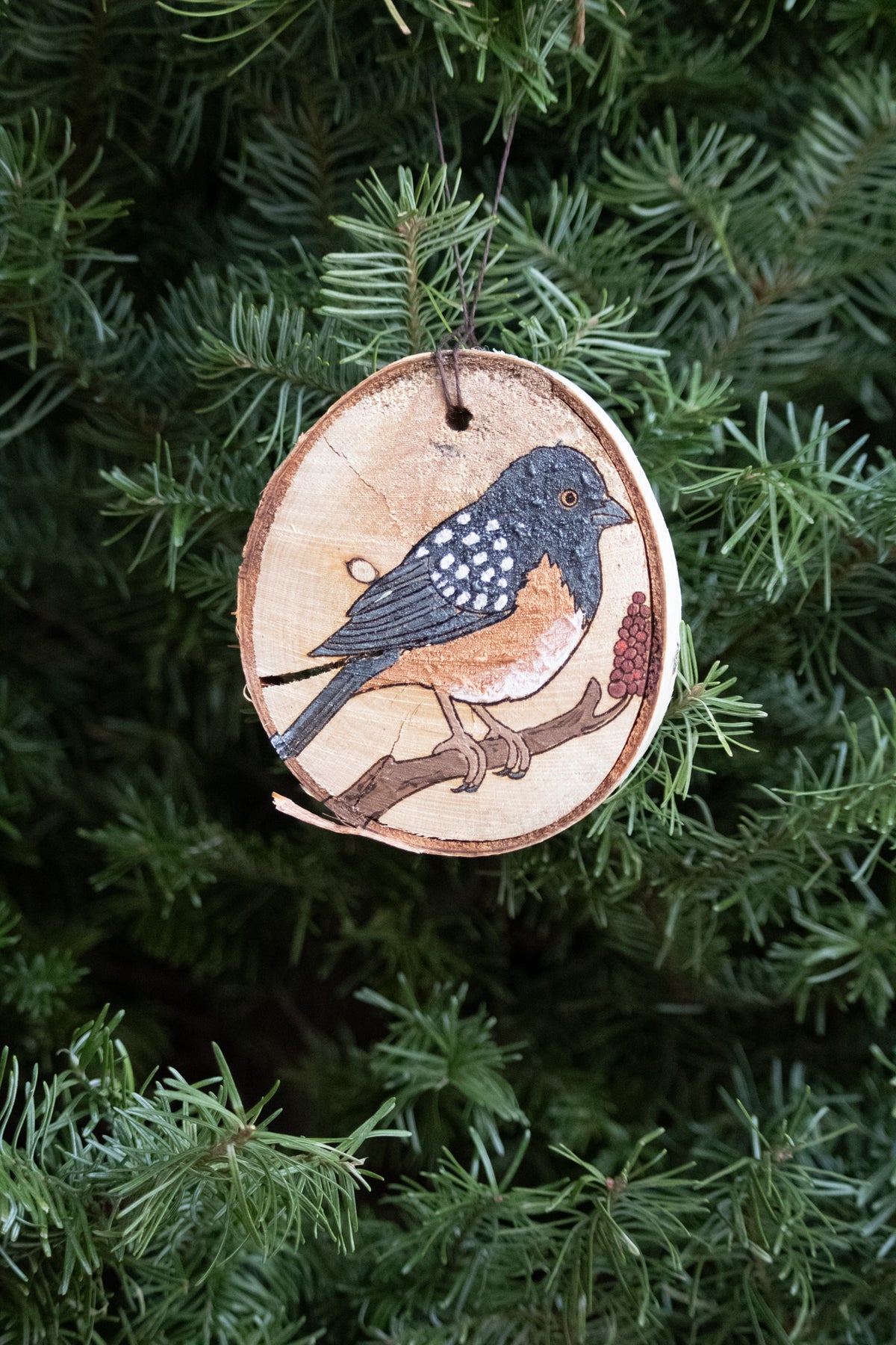Spotted Towhee Ornament