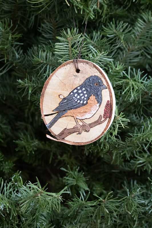 Spotted Towhee Ornament