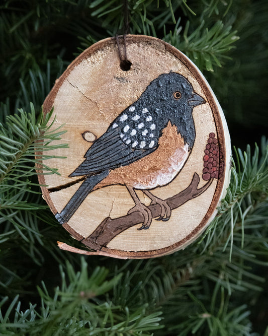 Spotted Towhee Ornament