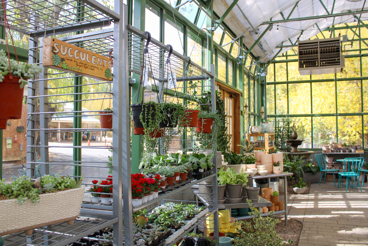 Custom plant signs